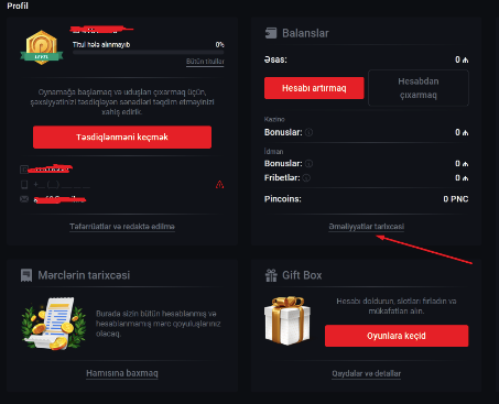 pinup Əməliyyat Tarixçəsi